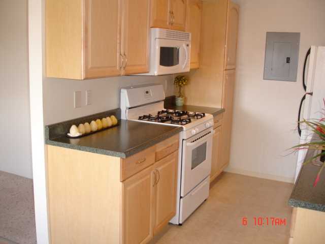 911169 Mikohu Street  Unit 36/S