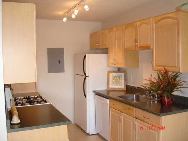 911169 Mikohu Street  Unit 36/S