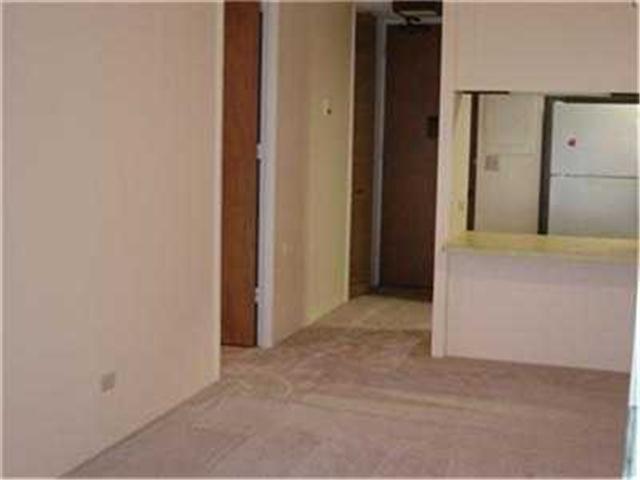 1114 Wilder Avenue  Unit 207