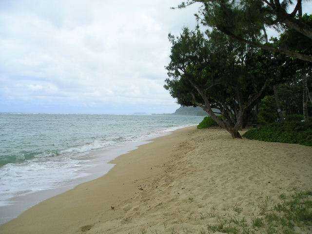 53-549 Kamehameha Highway  Unit 110