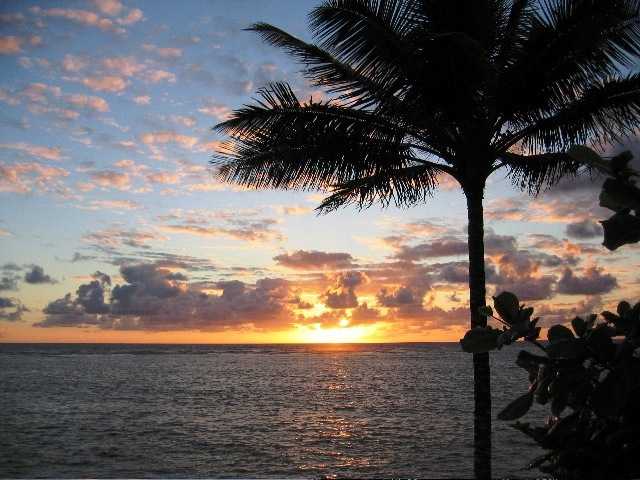 53-837 Kamehameha Highway