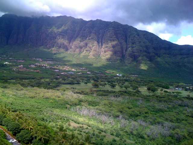 84710 Kili Drive  Unit C/712