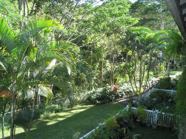 95797 Wikao Street  Unit B201