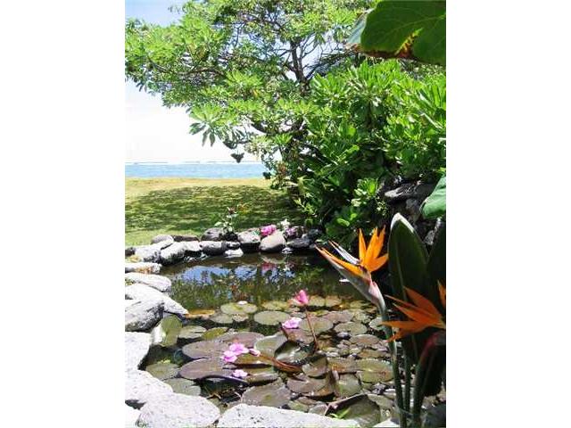 53-837 Kamehameha Highway