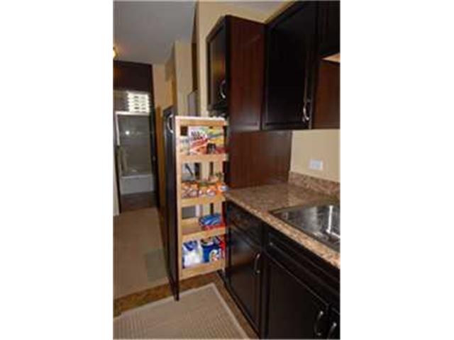 909 Ala Nanala Street  Unit 503