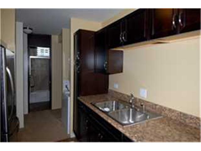 909 Ala Nanala Street  Unit 503