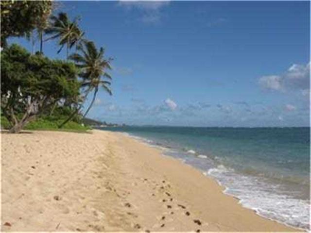 53549 Kamehameha Highway  Unit 110